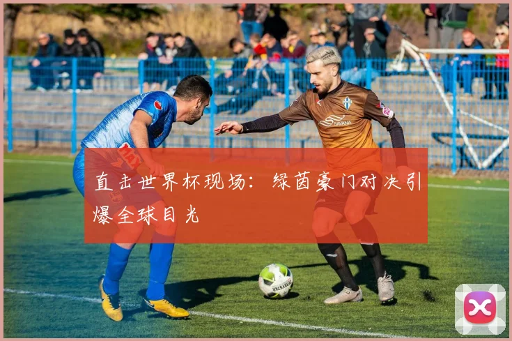 直击世界杯现场：绿茵豪门对决引爆全球目光